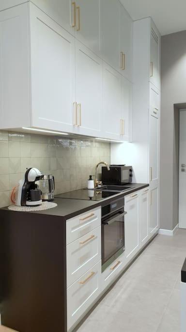 Exclusive, Unique Apartment, 2 Bathrooms, 105sqm Apartament Kraków